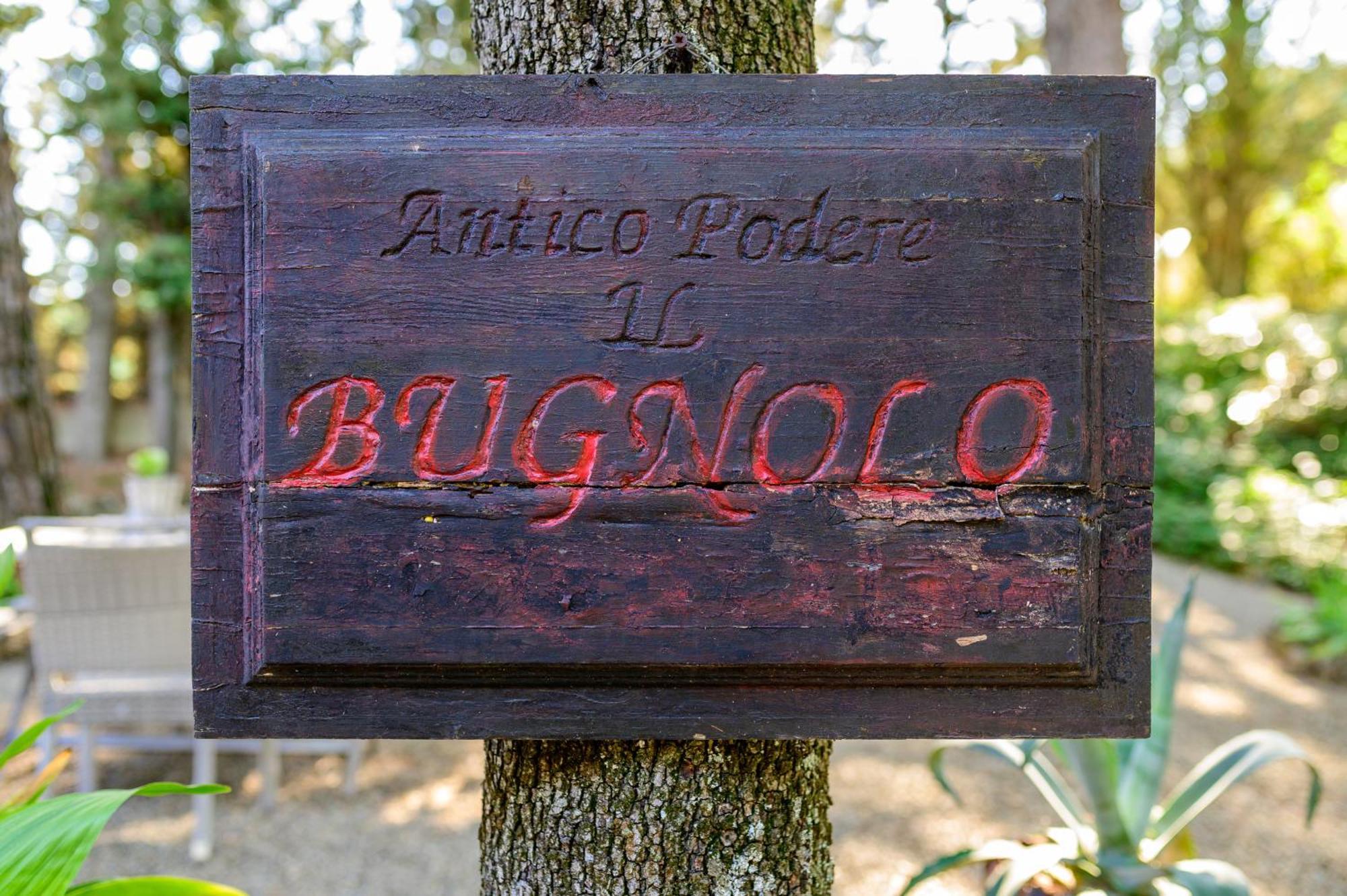Antico Podere Il Bugnolo Поджібонсі Екстер'єр фото